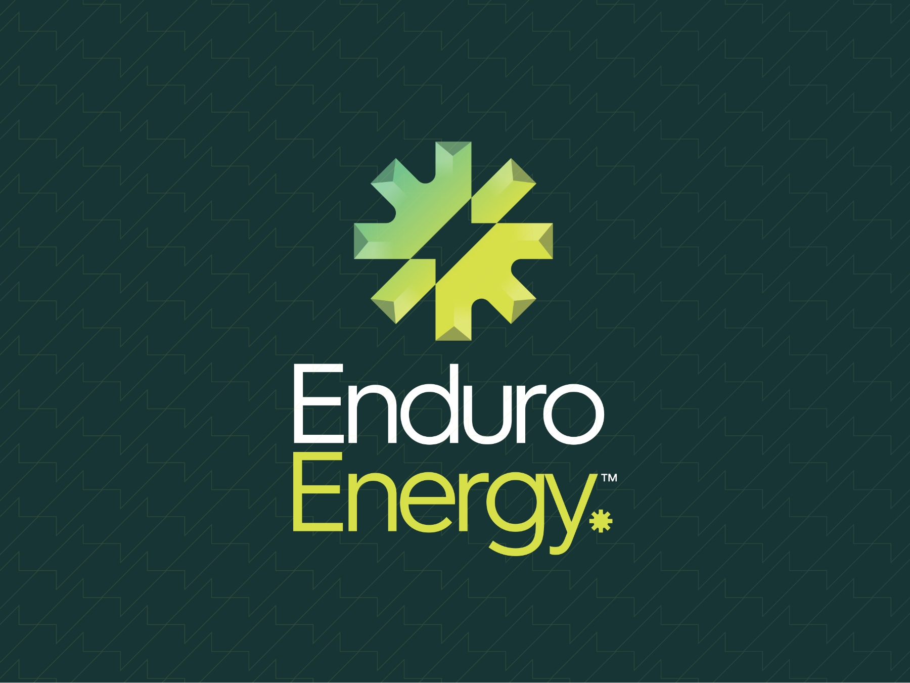 Enduro Logo
