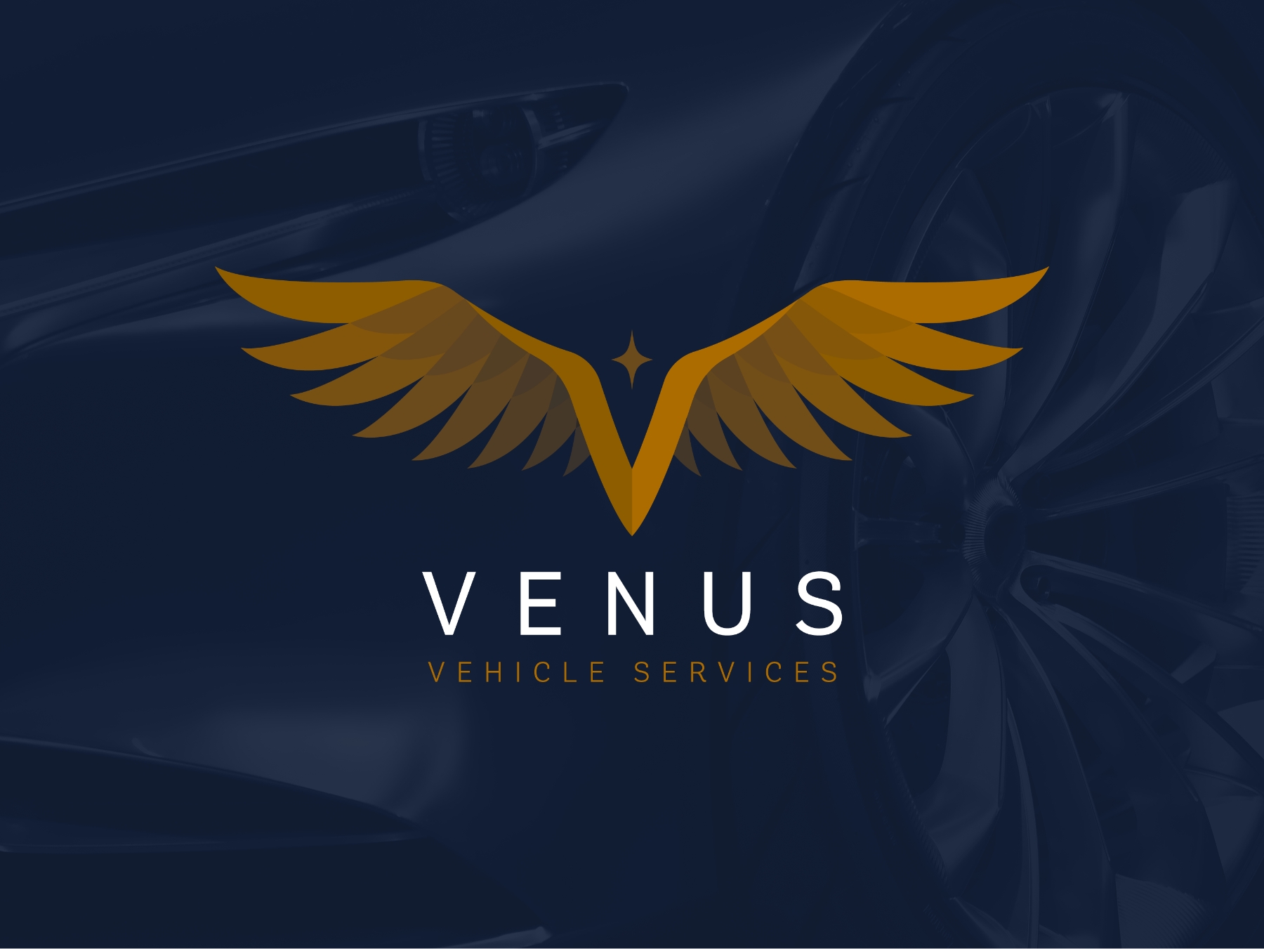 Vvs Logo